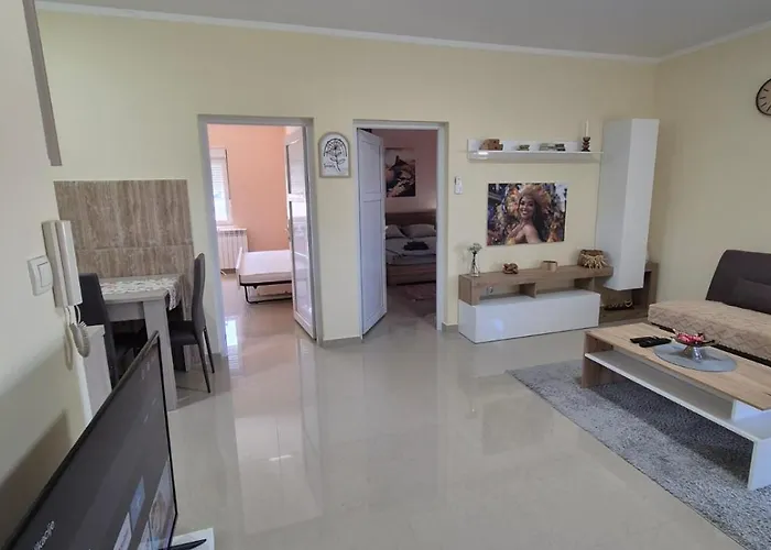 Apartamento Rio Ub 2